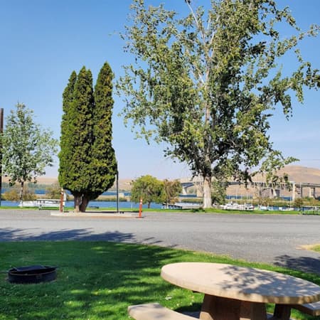 Umatilla Marina & RV Park